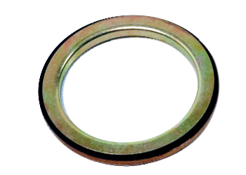 Bearing Seal